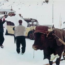 1957_01_wiesnegg