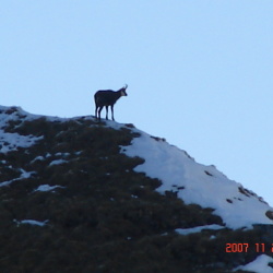 bild 877