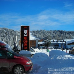 turrrach 5